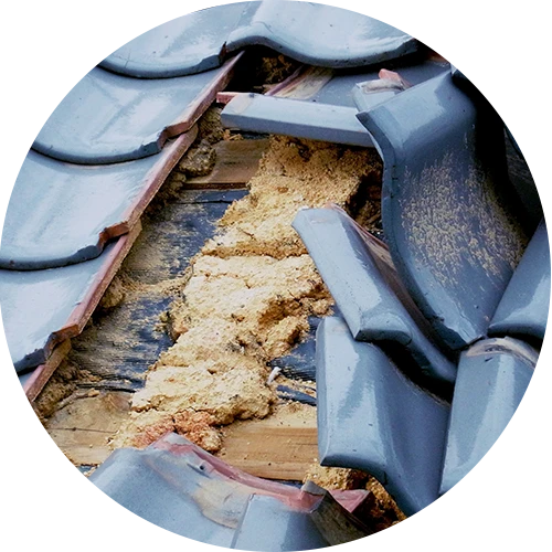 瓦の割れ・欠けの差し替え