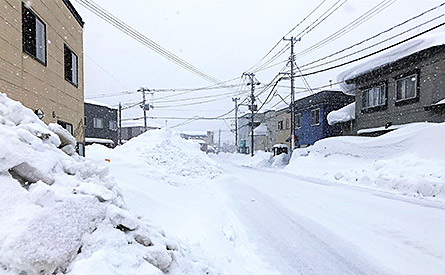 雪の多い地域には金属屋根が多く採用されている