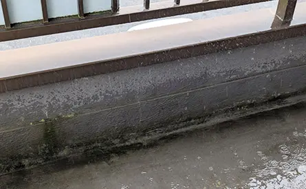 ベランダの水たまり