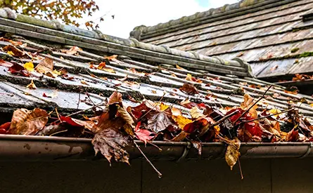 雨どい清掃の重要性