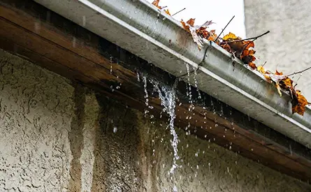 雨どいからあふれ出した雨水(オーバーフロー)