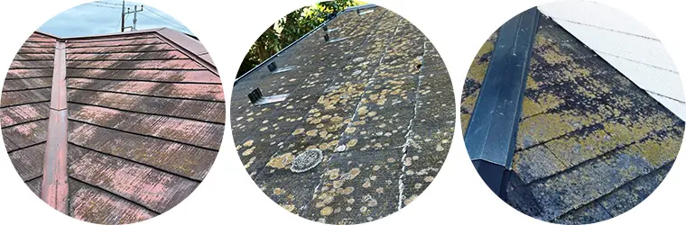 コケや藻が生えたスレート屋根