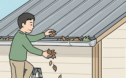 雨樋の落ち葉・ゴミの除去