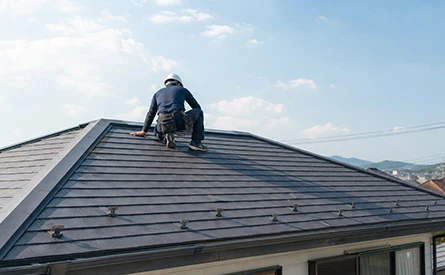 屋根専門業者による点検