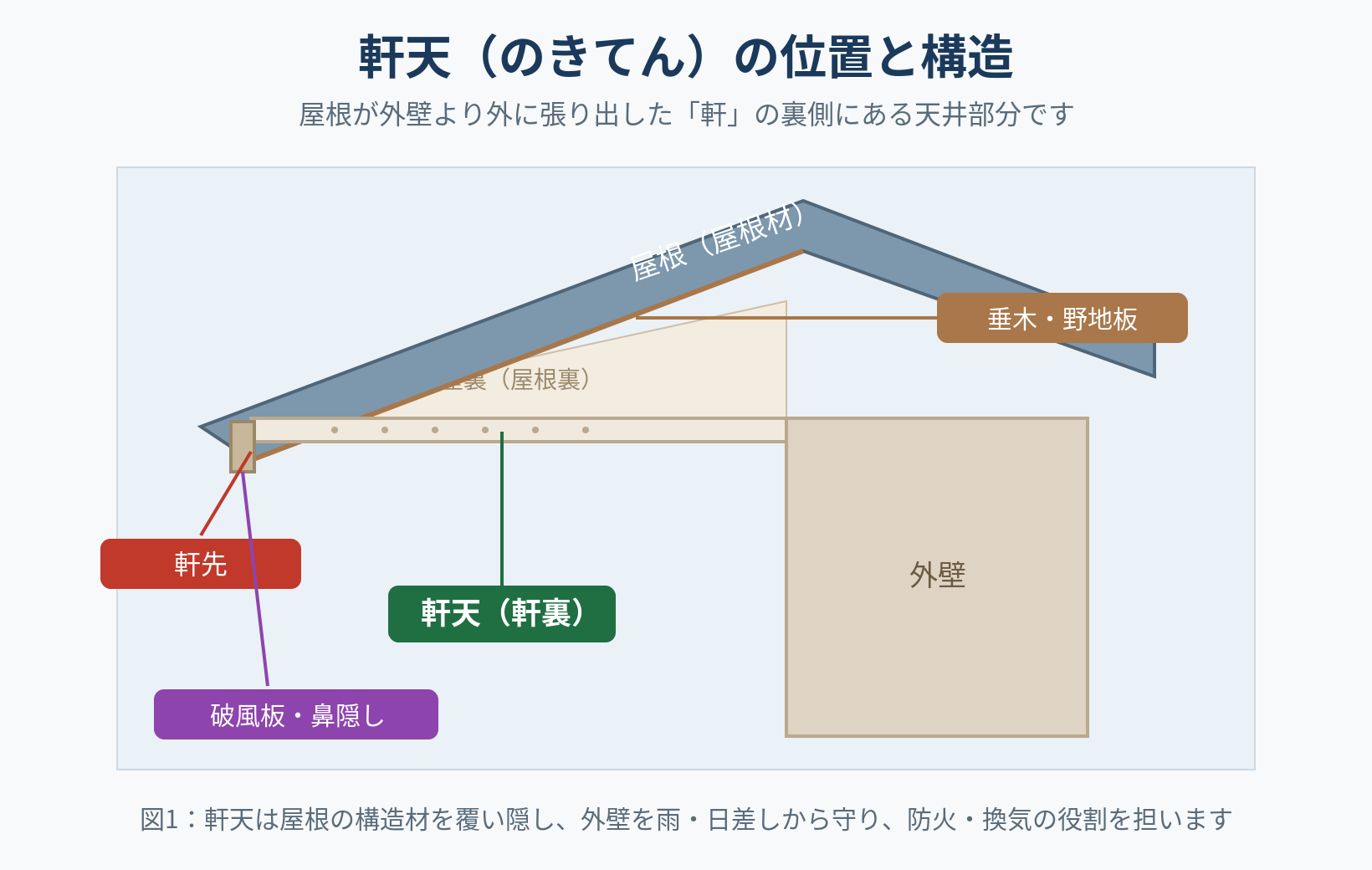 軒天の位置と構造を示す断面図。屋根・軒先・破風板・鼻隠し・外壁との位置関係と、軒天が屋根の構造材を覆う様子