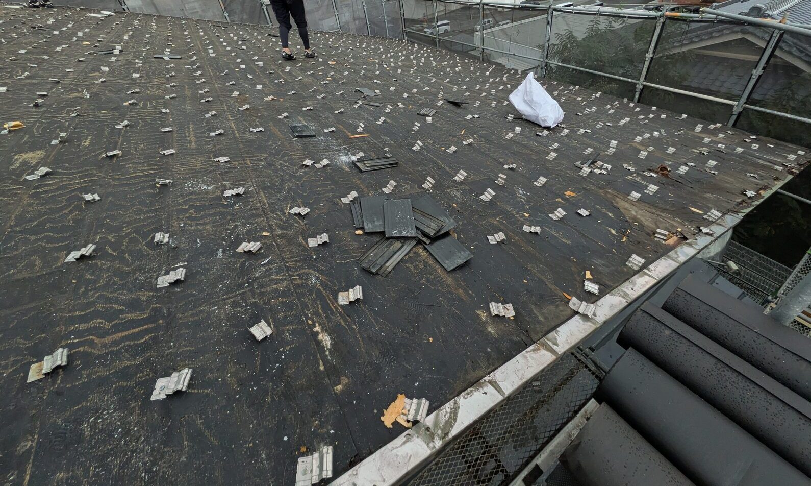 【施工中】北面も既存屋根材を撤去。屋根全体の下地を確認しながら進める