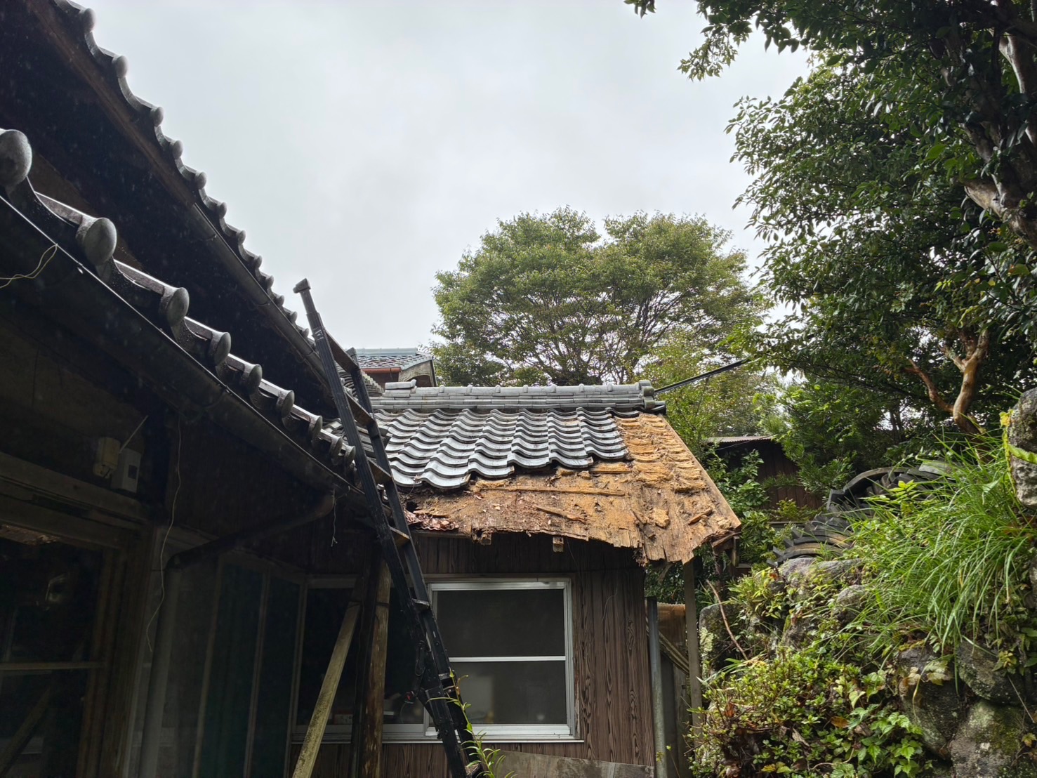 【施工中】既存瓦をめくり終えた下屋。屋根一面に葺き土が残っている