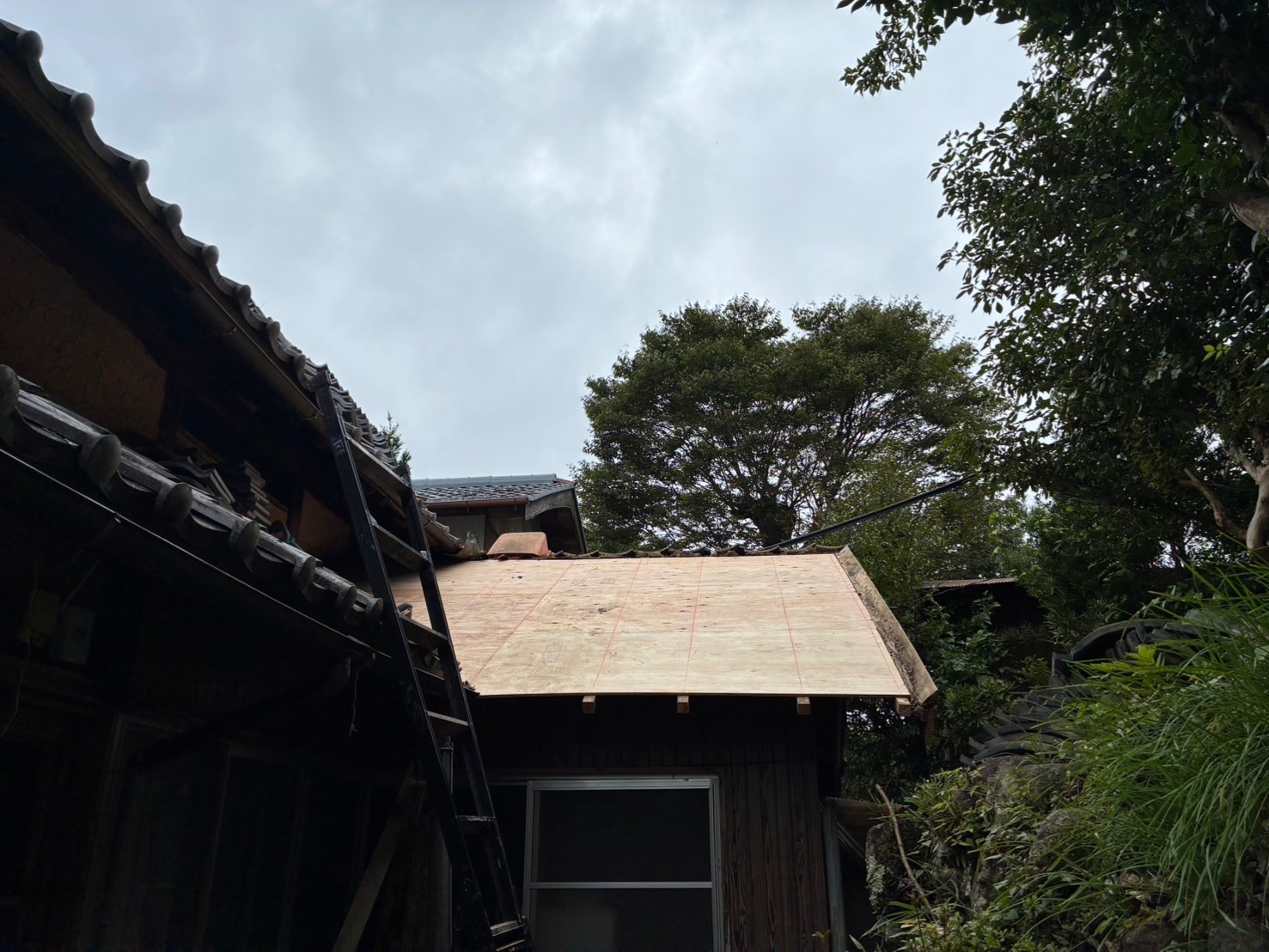 【施工中】合板張りが完了した下屋。垂れ下がっていた屋根面がまっすぐに
